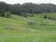 215 Blackpost Road, Tunnack TAS 7120