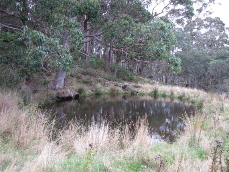 215 Blackpost Road, Tunnack TAS 7120