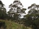 215 Blackpost Road, Tunnack TAS 7120