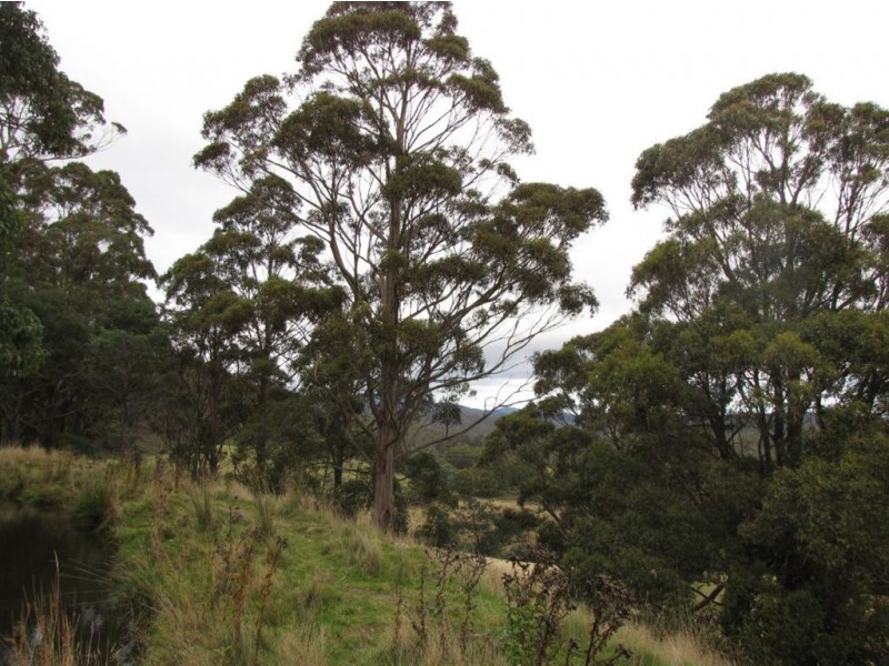 215 Blackpost Road, Tunnack TAS 7120