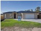 Oakdowns TAS 7019