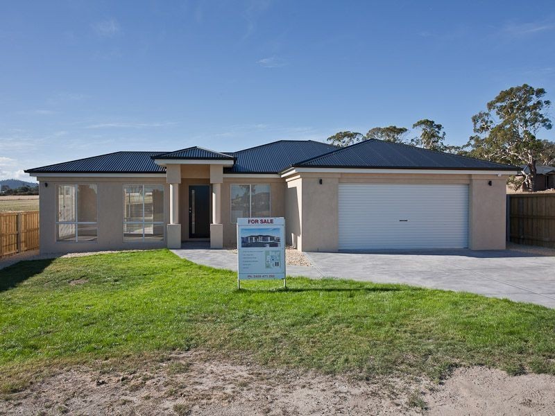 Oakdowns TAS 7019