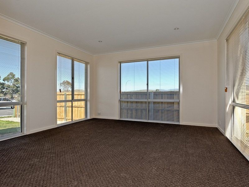 Oakdowns TAS 7019