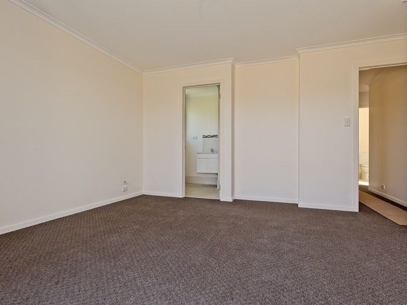 Oakdowns TAS 7019