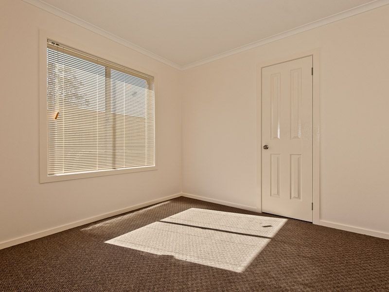Oakdowns TAS 7019
