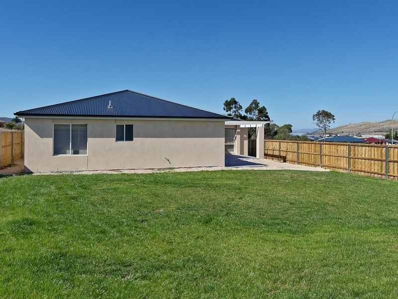 Oakdowns TAS 7019