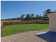 Oakdowns TAS 7019