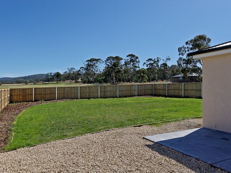 Oakdowns TAS 7019