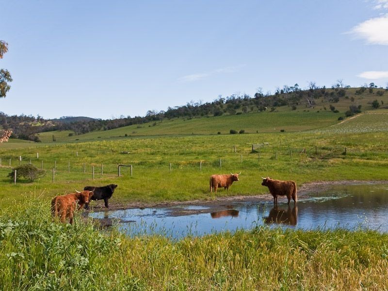 889 Middle Tea Tree Road, Tea Tree TAS 7017
