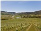 889 Middle Tea Tree Road, Tea Tree TAS 7017