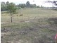 777 Acton Road, Acton Park TAS 7170