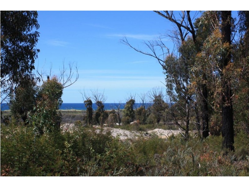 Lot 20 Tasman Highway, Scamander TAS 7215