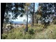 Lot 20 Tasman Highway, Scamander TAS 7215