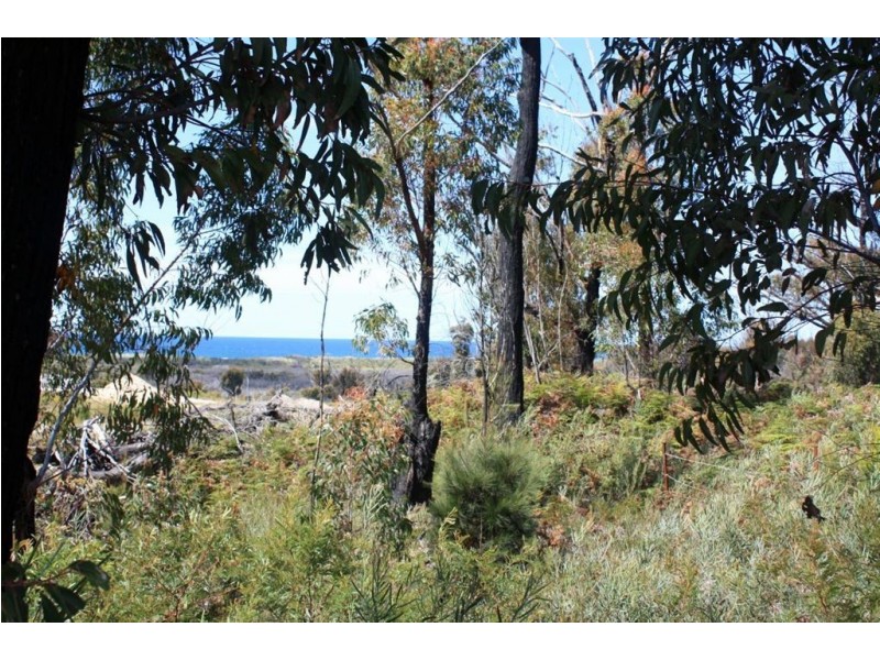 Lot 20 Tasman Highway, Scamander TAS 7215