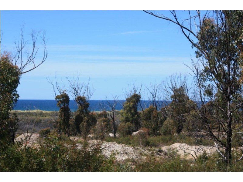 Lot 20 Tasman Highway, Scamander TAS 7215
