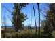 Lot 20 Tasman Highway, Scamander TAS 7215