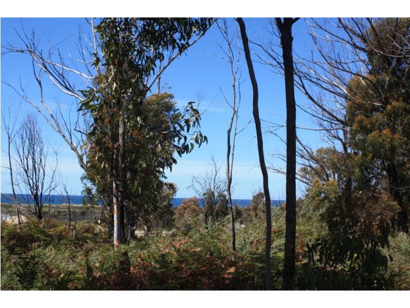 Lot 20 Tasman Highway, Scamander TAS 7215