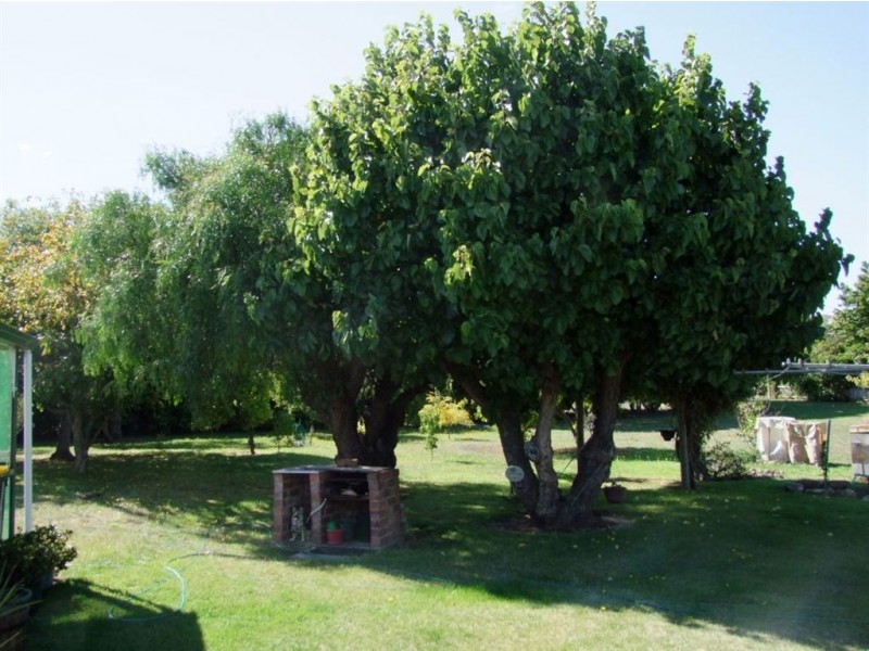 12 Wellington Street, Richmond TAS 7025