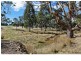 92 Backhouse Lane, Cambridge TAS 7170
