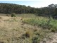 0 Rabbit Hill Road, Colebrook TAS 7027