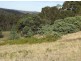 0 Rabbit Hill Road, Colebrook TAS 7027