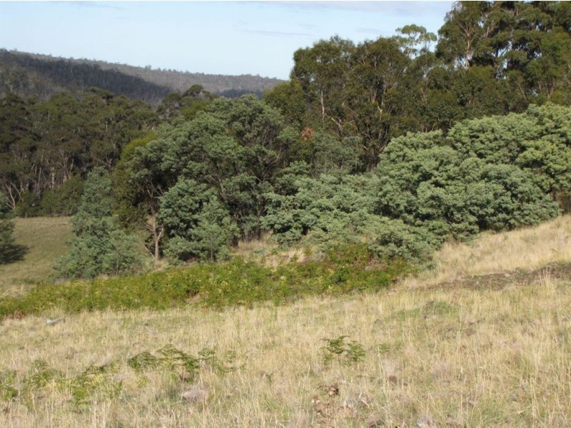 0 Rabbit Hill Road, Colebrook TAS 7027