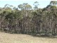 0 Rabbit Hill Road, Colebrook TAS 7027