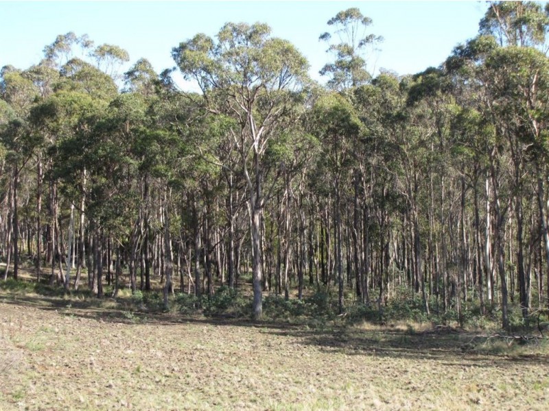 0 Rabbit Hill Road, Colebrook TAS 7027