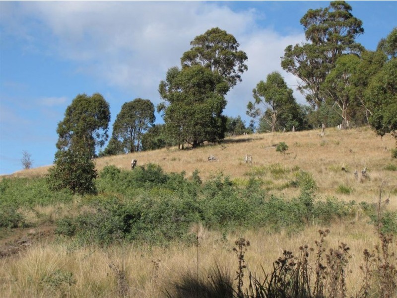 0 Rabbit Hill Road, Colebrook TAS 7027