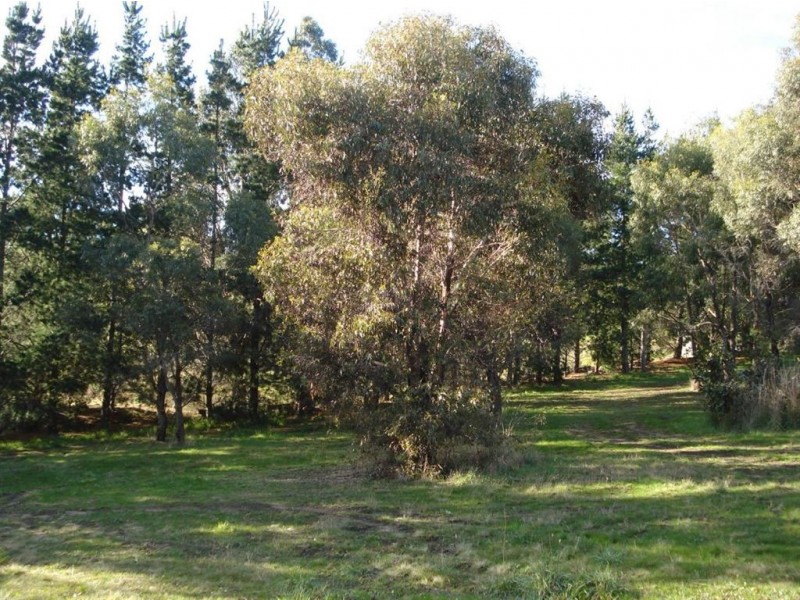 Lot 4/15 Malwood Place, Forcett TAS 7173