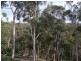 107 Tolpuddle Drive, Richmond TAS 7025