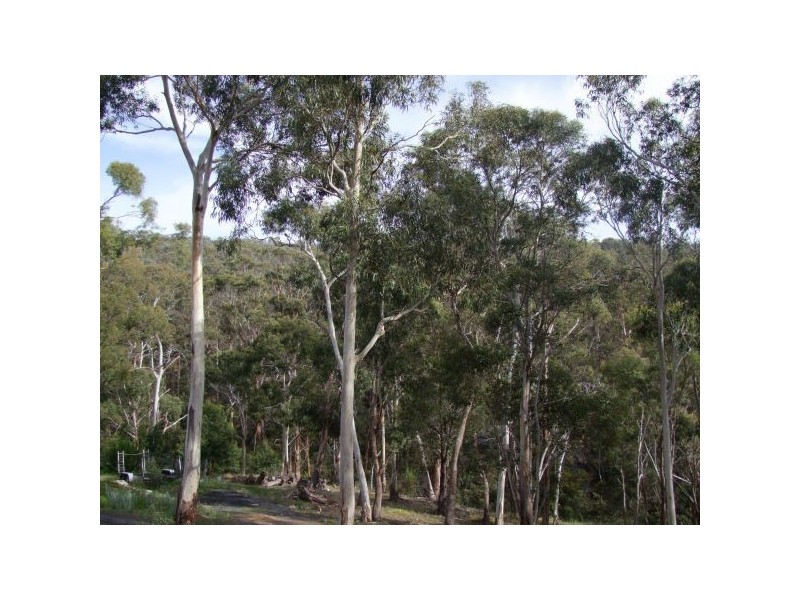 107 Tolpuddle Drive, Richmond TAS 7025