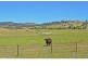 Lot 2/890 Middle Tea Tree Road, Tea Tree TAS 7017