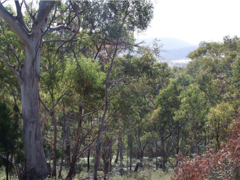 Lot 3 Kandara Court, Campania TAS 7026