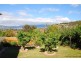 54 Ninabah Street, Howrah TAS 7018