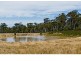 747 White Kangaroo Road, Campania TAS 7026