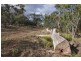 Lot 3/91 Richmond Valley Road, Richmond TAS 7025