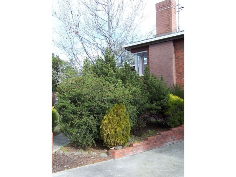 245 East Derwent Highway, Lindisfarne TAS 7015