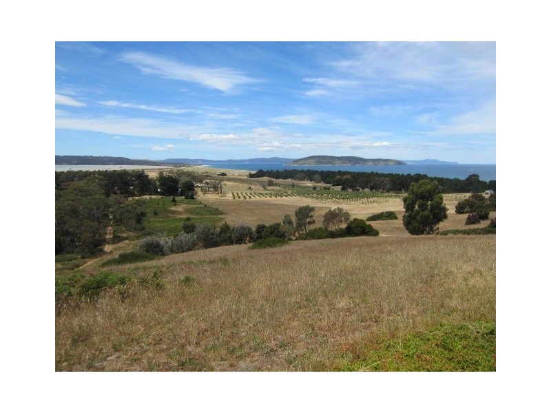 83 Roaring Beach Road, South Arm TAS 7022