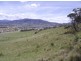 Lot 3 Briggs Road, Gagebrook TAS 7030