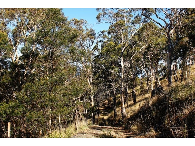 455 Mount Rumney Road, Mount Rumney TAS 7170