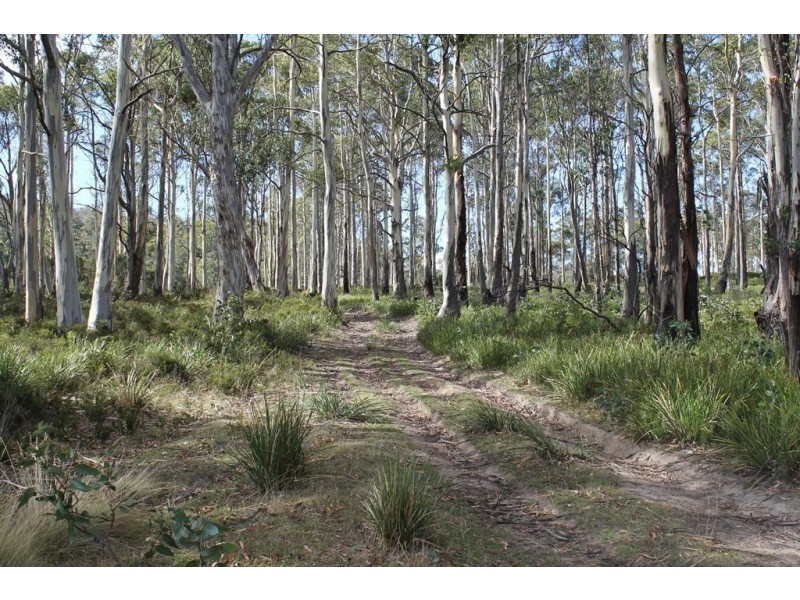 3065 Victoria Valley Road, Ouse TAS 7140