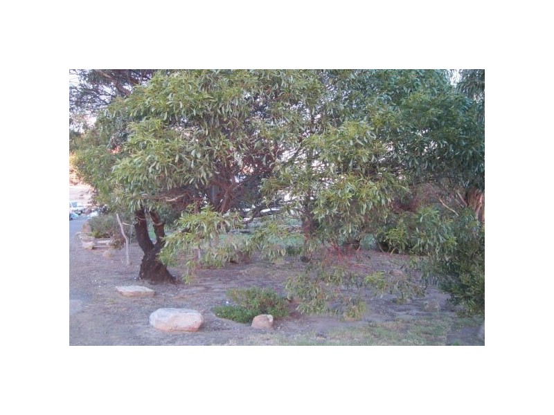 1430 Grasstree Hill Road, Richmond TAS 7025