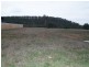 69 Kensington Street, New Norfolk TAS 7140