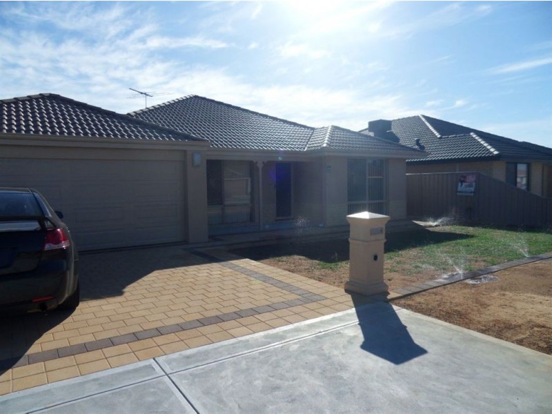 77 Sheffield Road, Wattle Grove WA 6107