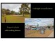 13 Nardoo Way, Maddington WA 6109