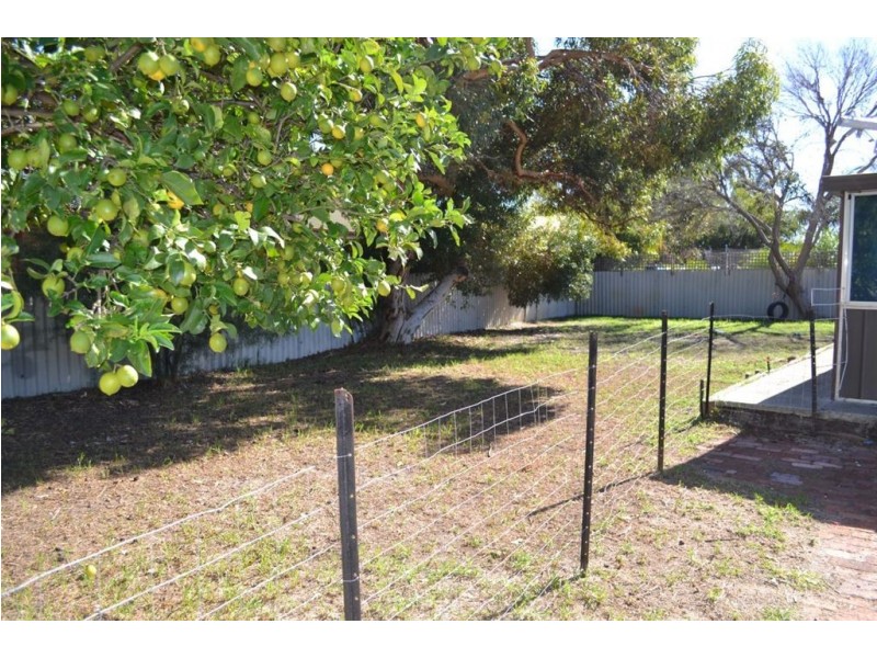 7 Haynes Court, Armadale WA 6112