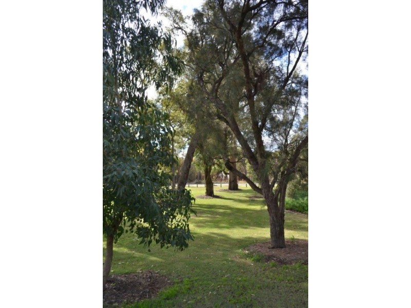 56 White Hart Lane, Baldivis WA 6171