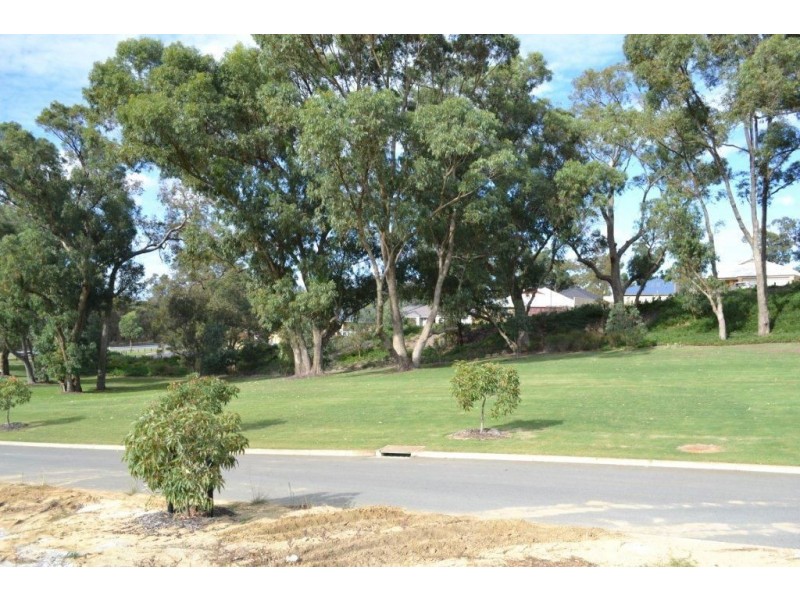56 White Hart Lane, Baldivis WA 6171