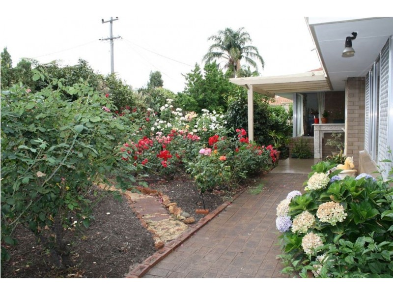 25 Pinetree Gully Road, Willetton WA 6155